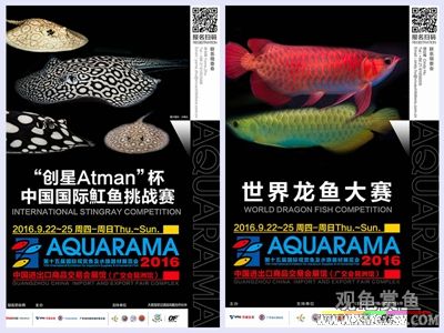 wechat С��100k03.jpg